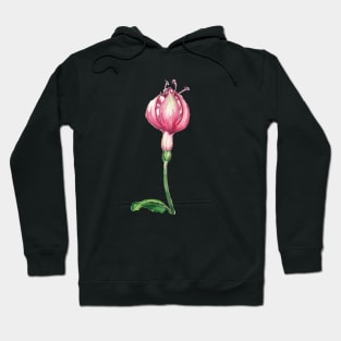 Fuchsia Hoodie